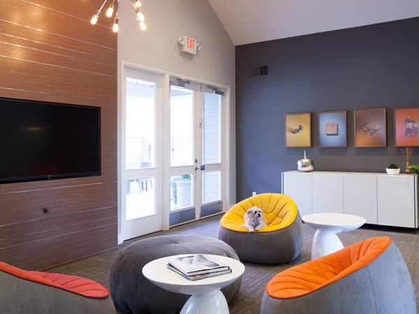 ALDERWOOD photo 6