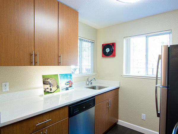 ALDERWOOD photo 8