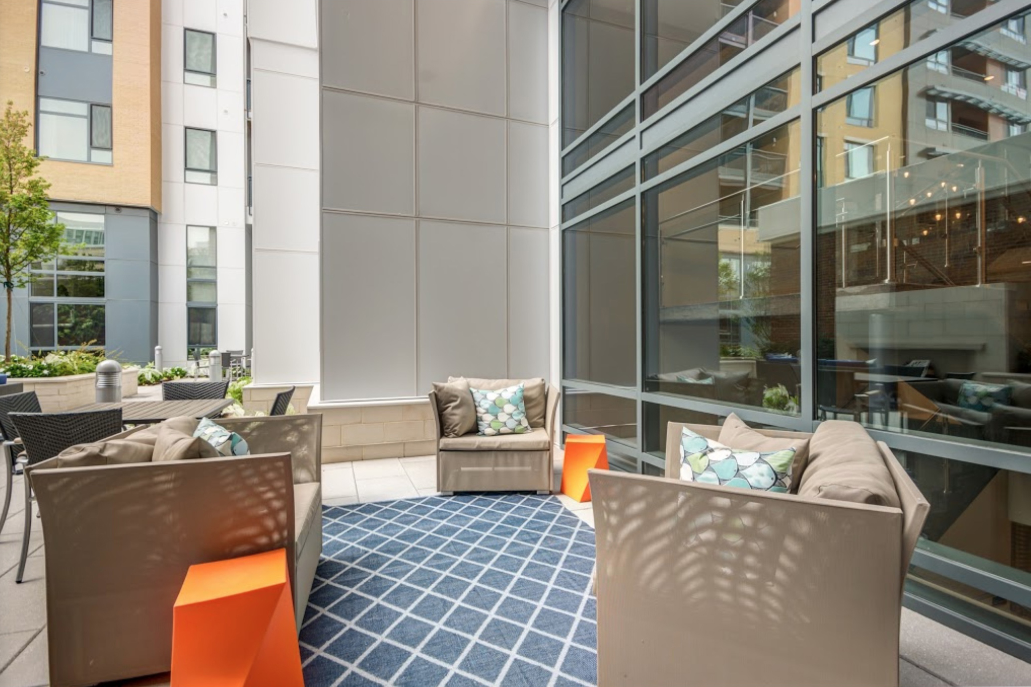 THE MAXWELL APARTMENTS photo 6
