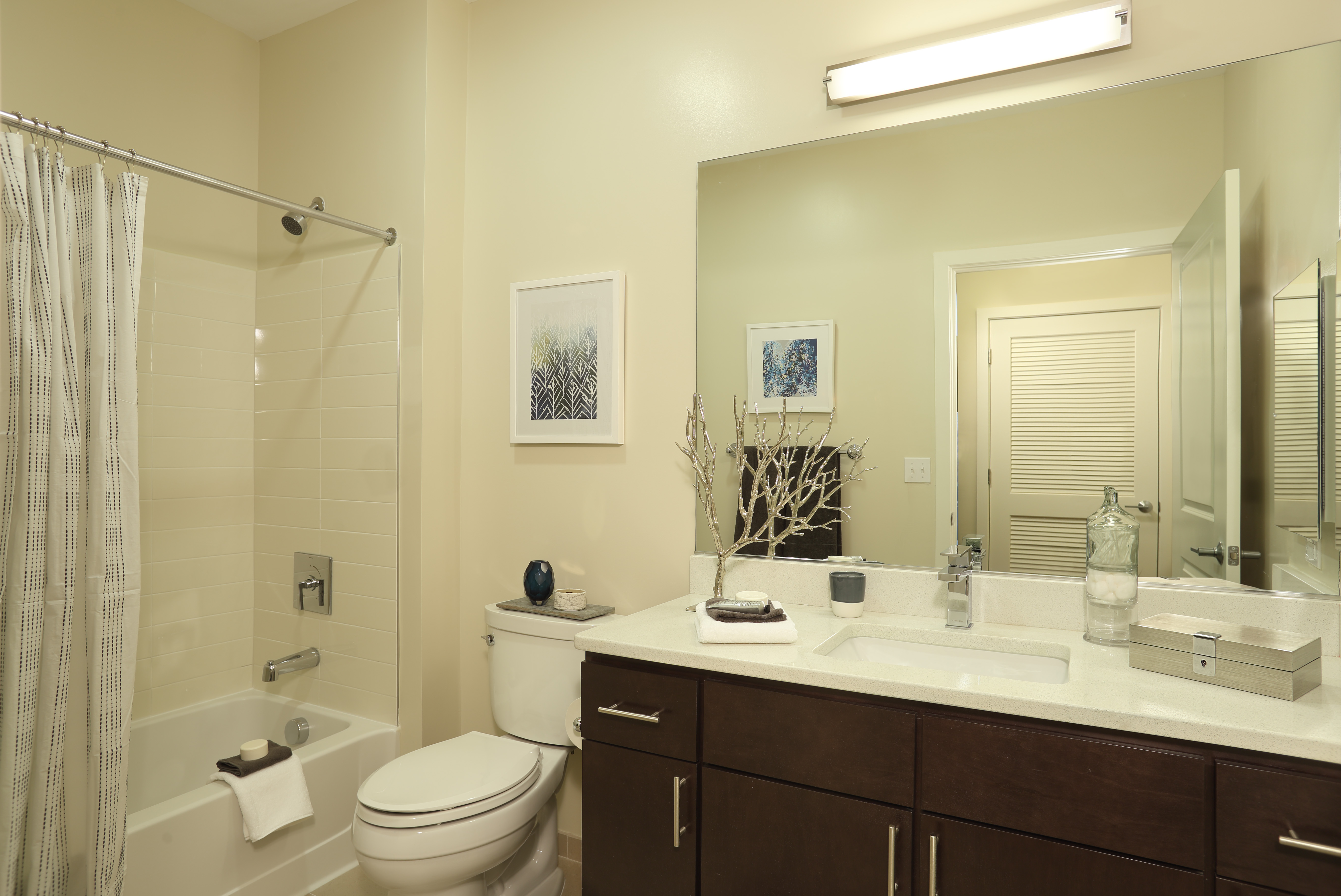 THE MAXWELL APARTMENTS photo 12