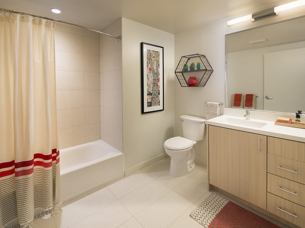 SOLAIRE SF photo 8