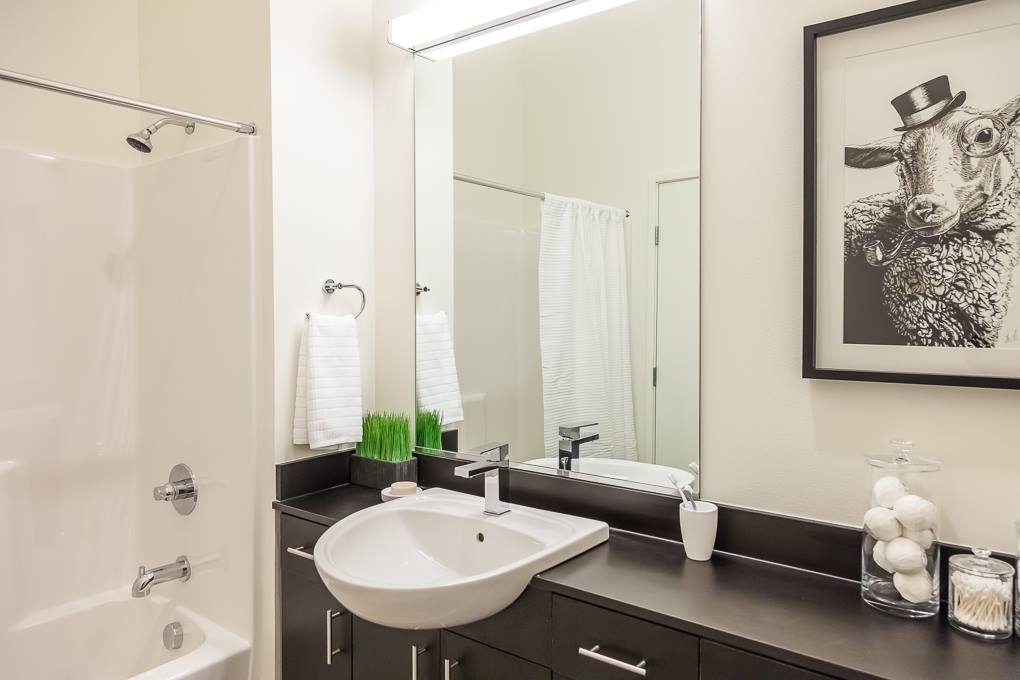 HENRY SEATTLE APARTMENTS photo 5