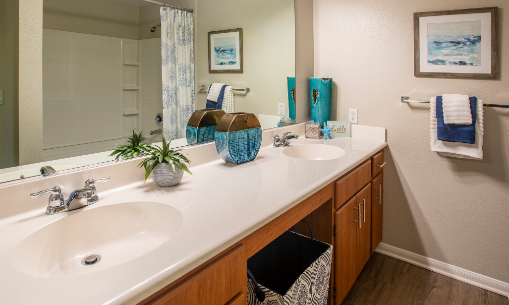 THE TRADITION APARTMENTS photo 7