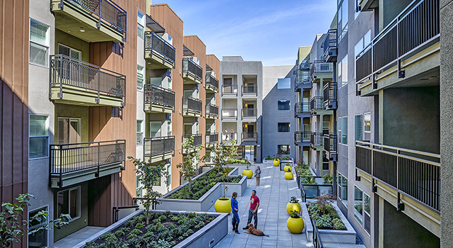 AVE WALNUT CREEK photo 4
