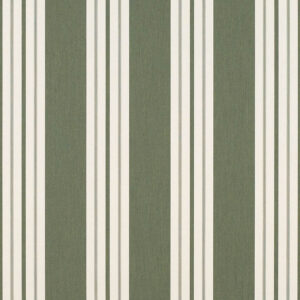 SummerMist Living Fern Classic