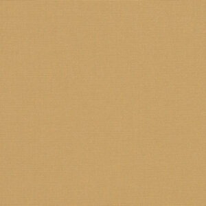 Sunbrella Toast 6028 0000