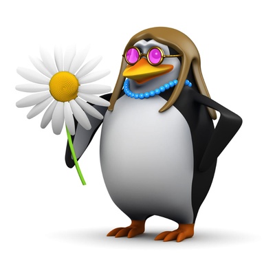 Autumnbox Chatiere Porte Pour Chat 4 Positions Verrouillable Trappe Chat Avec Gabarit D Installation Facile Pour Installer Votre Porte Pour Chat En Toute Facilite Chatiere Avec Fermeture Magnetique Silencieuse Et Isolante Wish