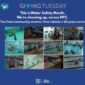 Swim Strong Foundation Giving Tuesday graphic — photo collage of swim instruction across NYC pools with text "This is Water Safety Month. We're showing up, across NYC." 20th anniversary campaign.