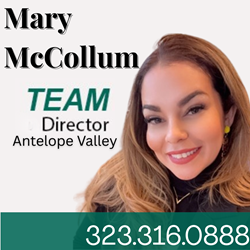Mary McCollum DIRECTOR profile photo
