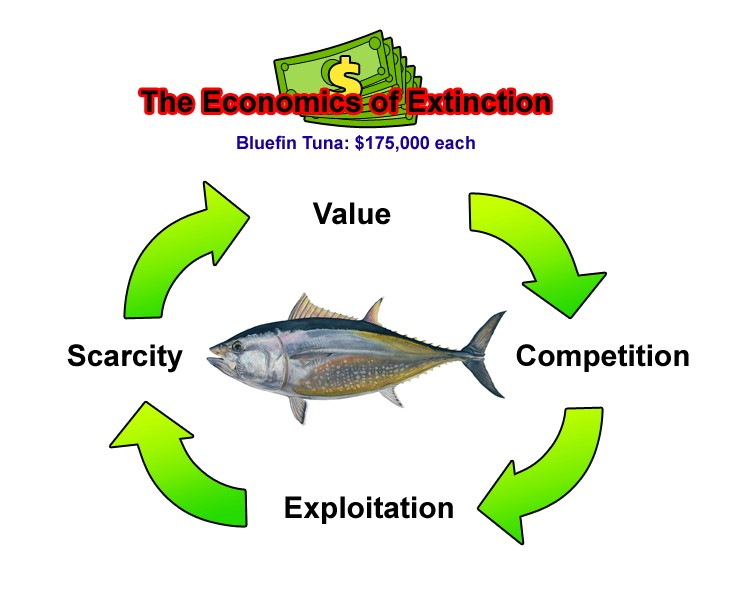 The-Economics-of-Extinction.jpg