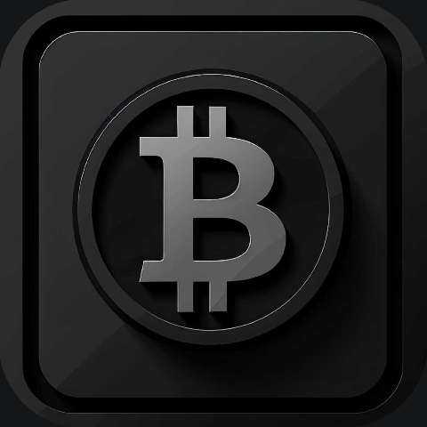 Preview for Bitcoin-logo-icon-dark-alloy-template-bb307