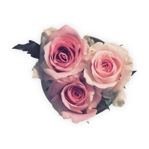 Preview for Pink-roses-bouquet-flower-sticker-template-55a6d