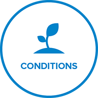 Badge Conditions