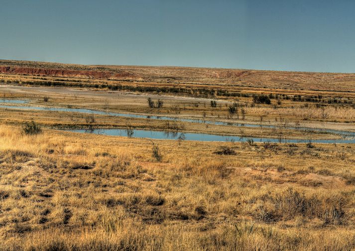 Bitter Lake Wildlife Drive Trailmob Com