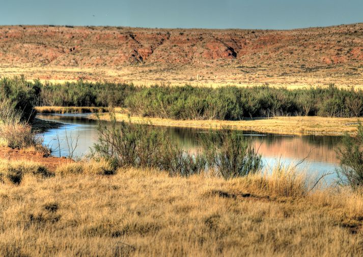 Bitter Lake Wildlife Drive Trailmob Com
