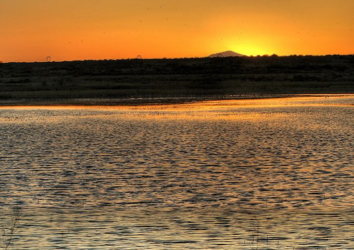 Bitter Lake Wildlife Drive Trailmob Com