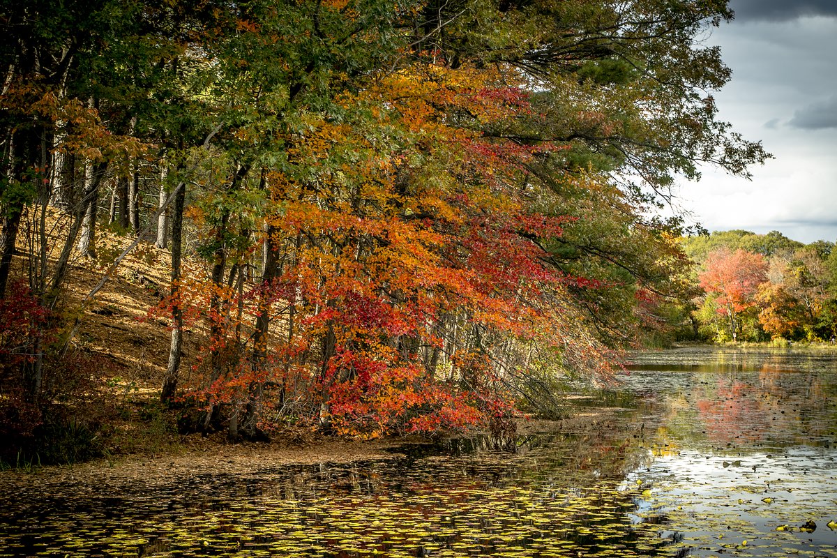 skyline trail in the blue hills trailmob com skyline trail in the blue hills