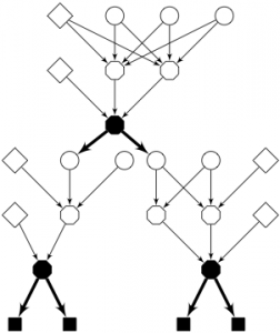 Neural-decision-forest