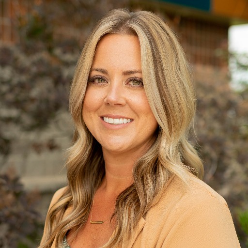   Director of HR Consulting Services