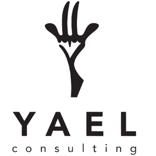 Yael Consulting icon