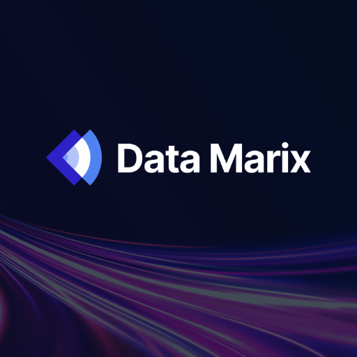 Data Marix's Logo