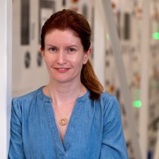 Vice President, Human Resources