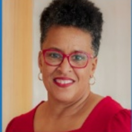   Vice President, HR Business Partnerships