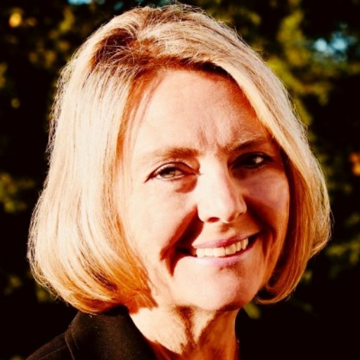   Sr. Director, Total Rewards & HRIS