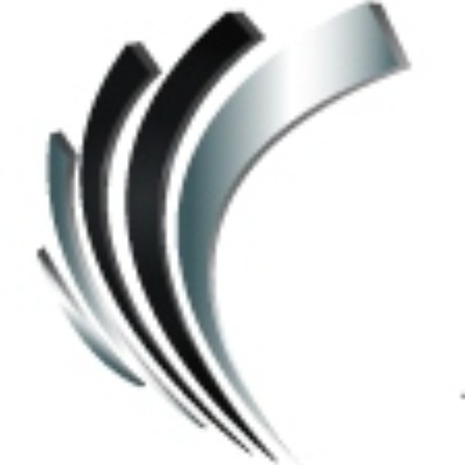 Professional Alternatives' Logo