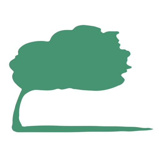 StormWind Studios icon