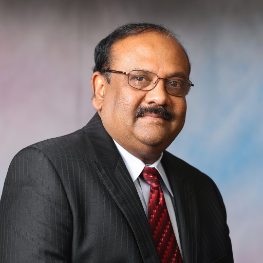Praveen Andapally Vitel Global's CEO