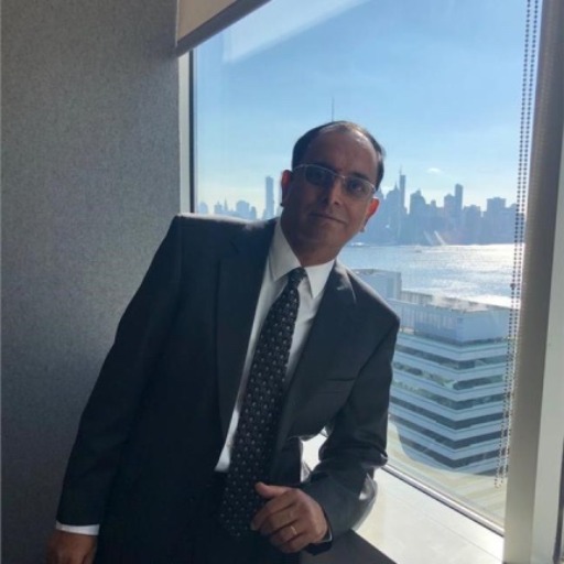   Senior Vice President – HR (North America)