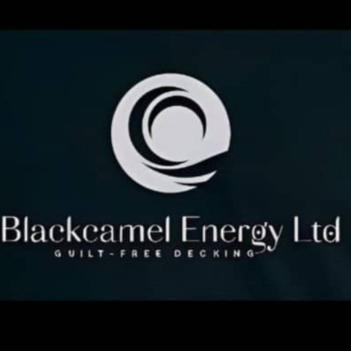 BlackCamel Energy Ltd's Logo