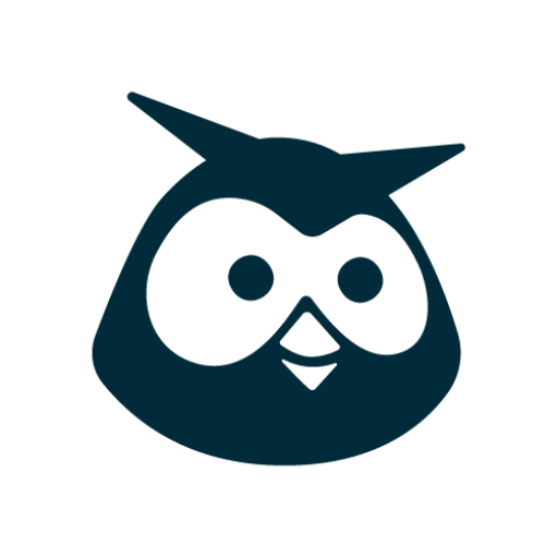 Hootsuite's Logo