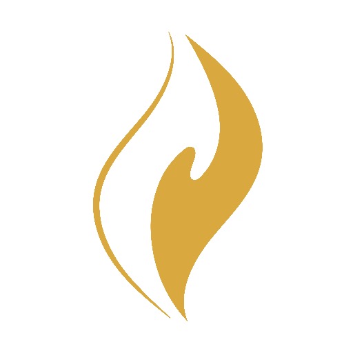 Nightingale College's Logo