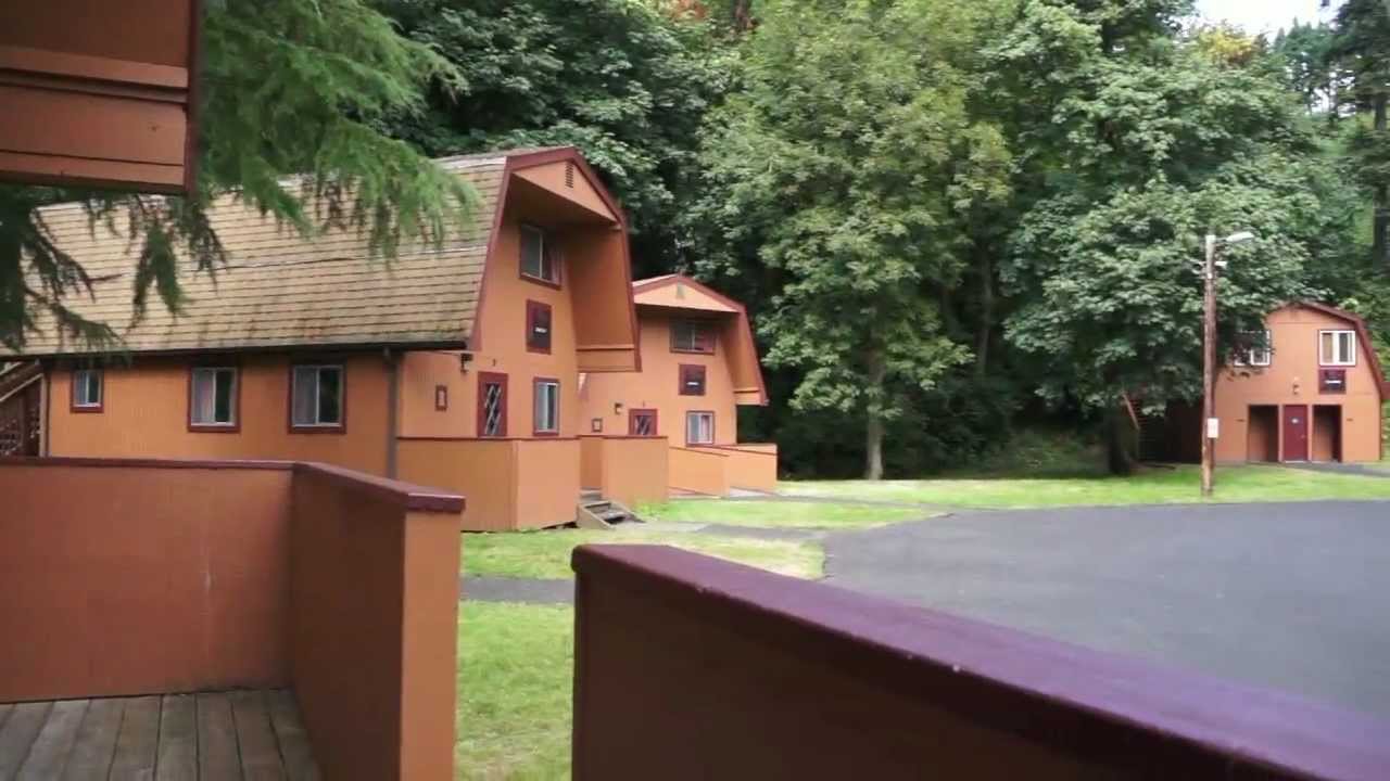 Camp Kuratli at Trestle Glen