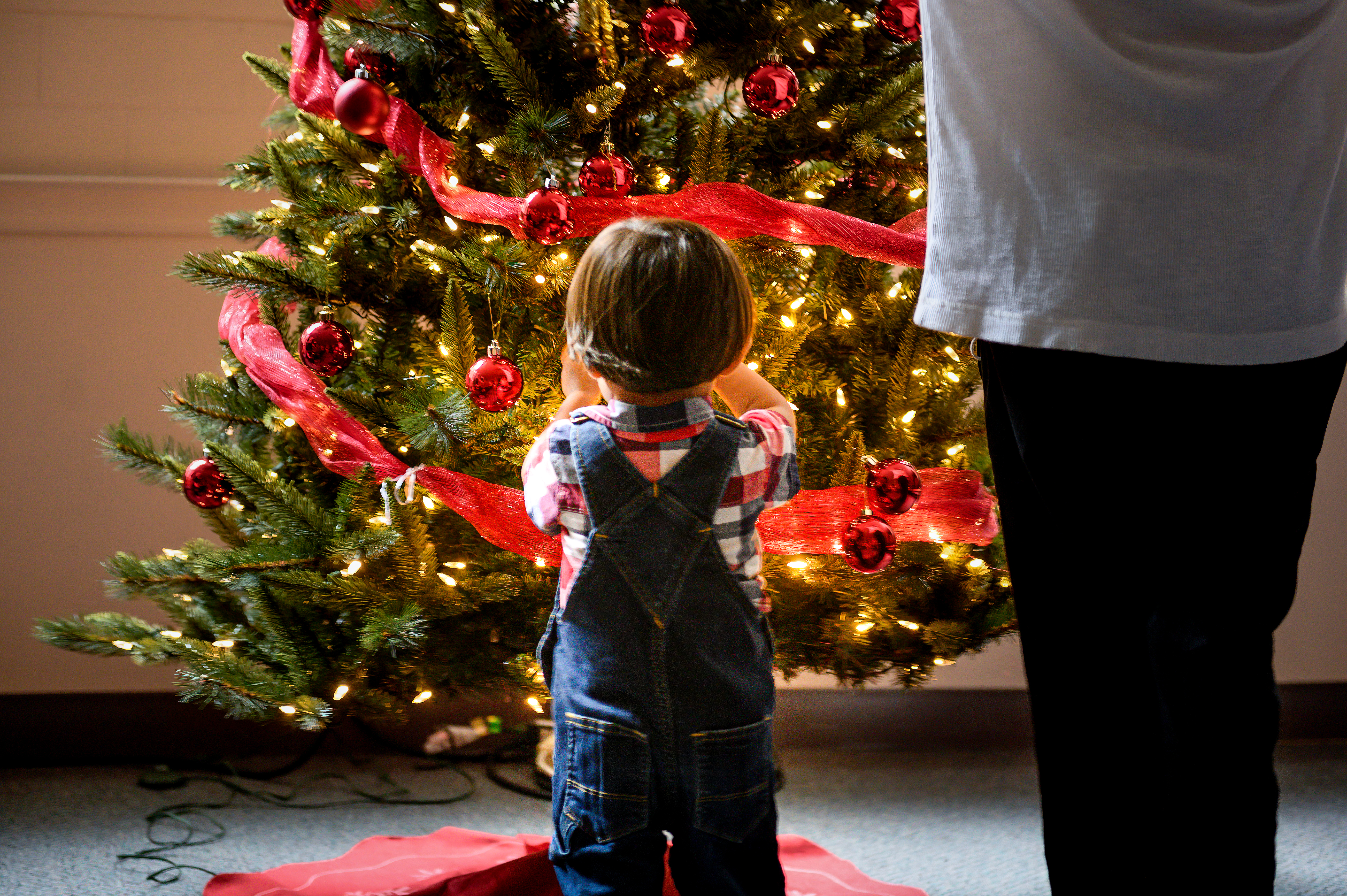 Volunteer with us! Image