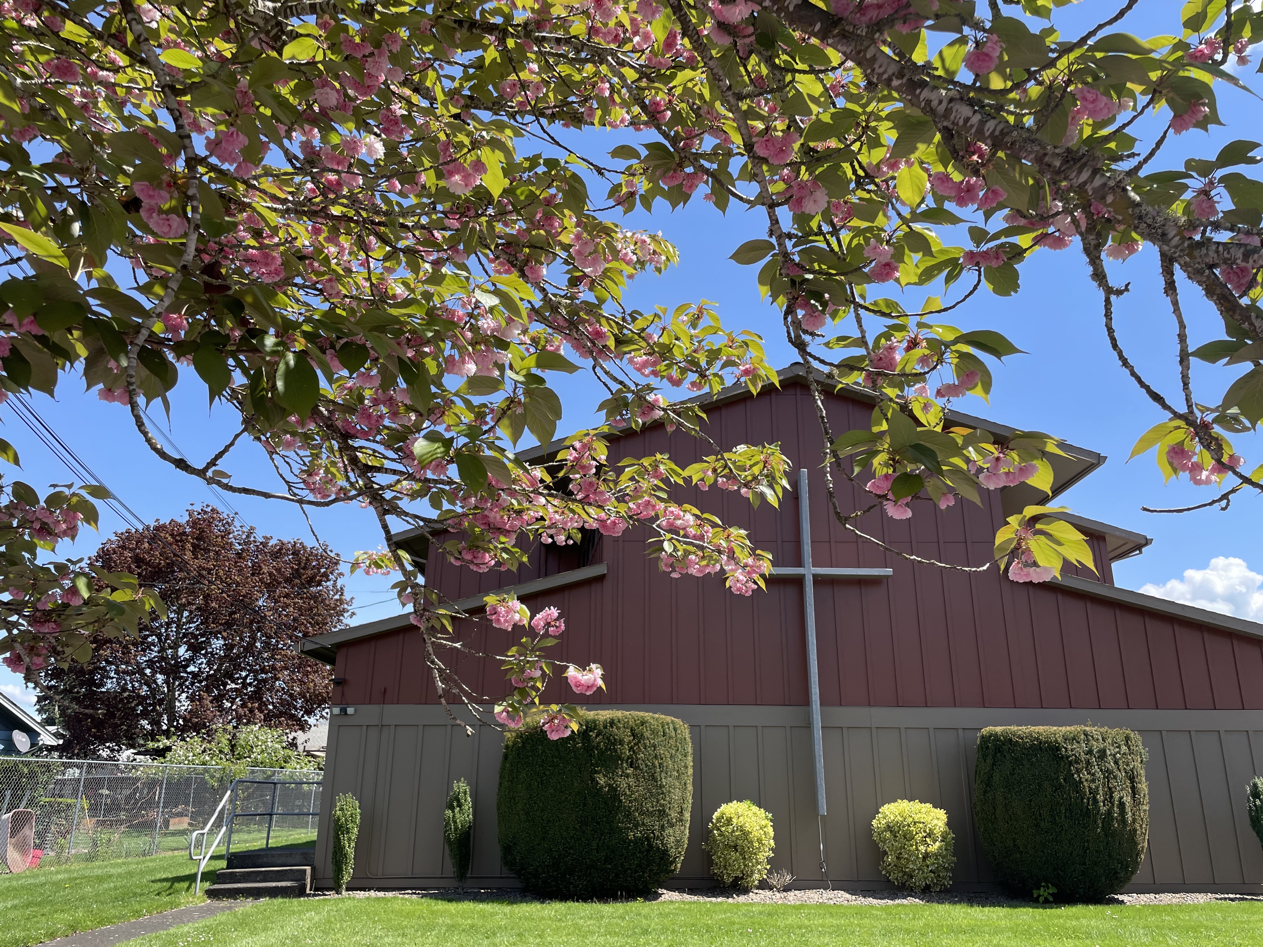 Serving Linn County with Love Image