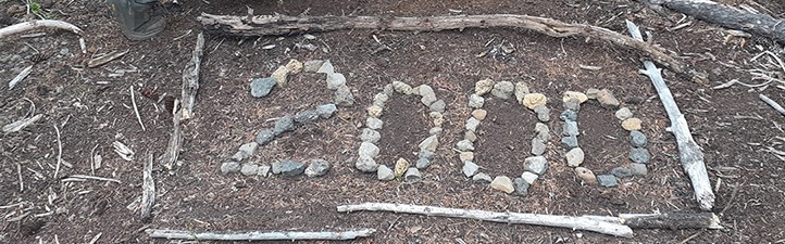 Purpose and Recovery Through Hiking Image