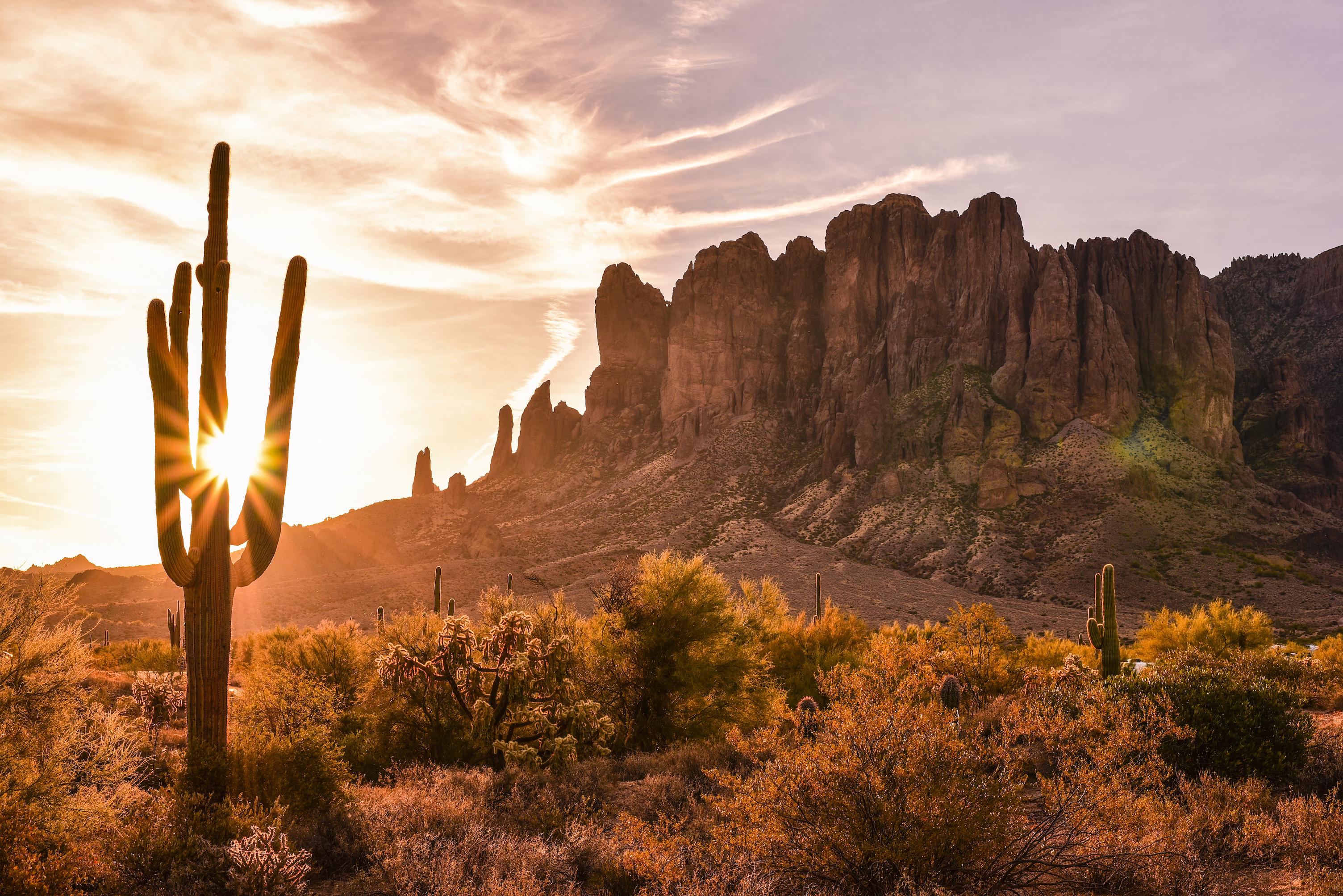 Arizona Tax Credit Image