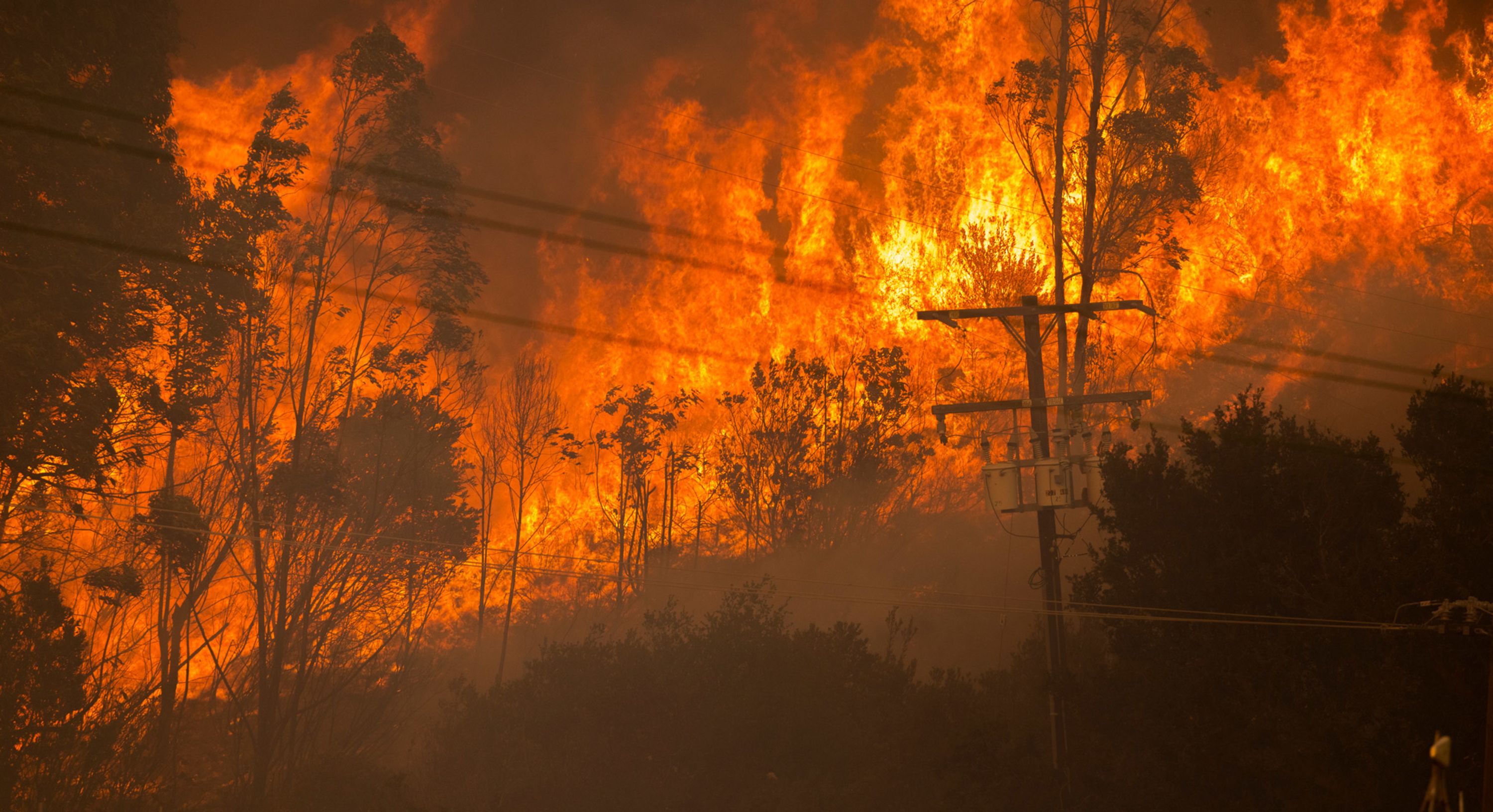 Emergency Disaster Teams and Meals Sent to Help Image