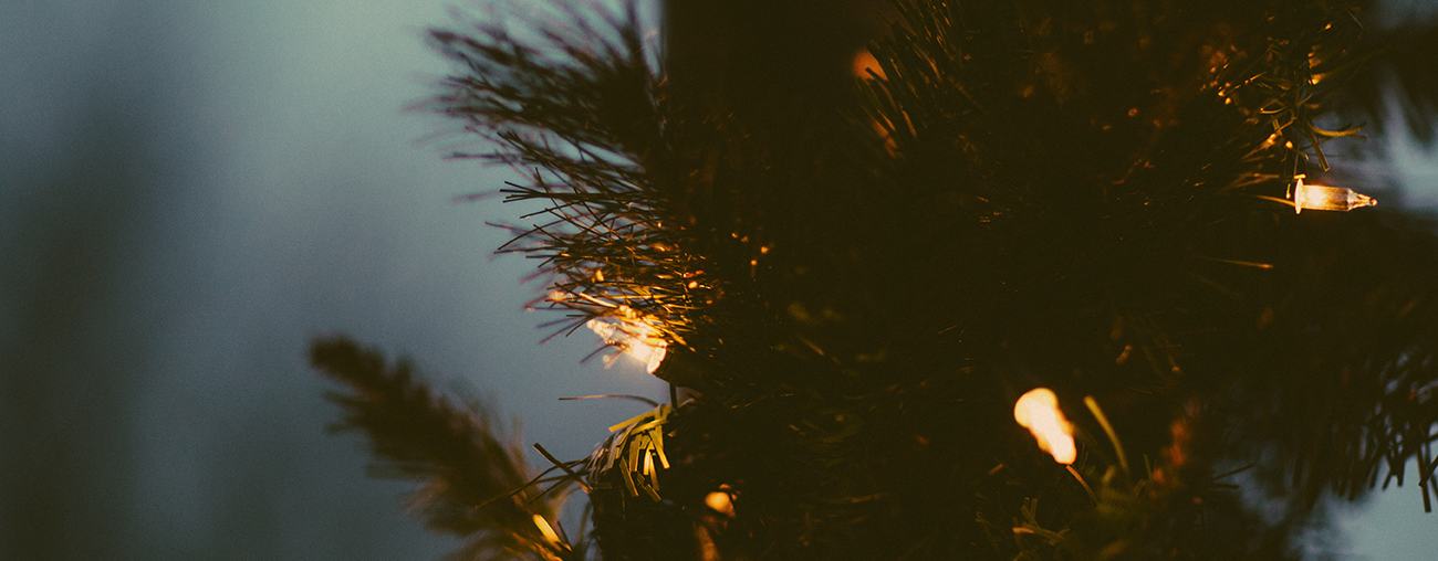 Christmas Assistance Nampa Corps