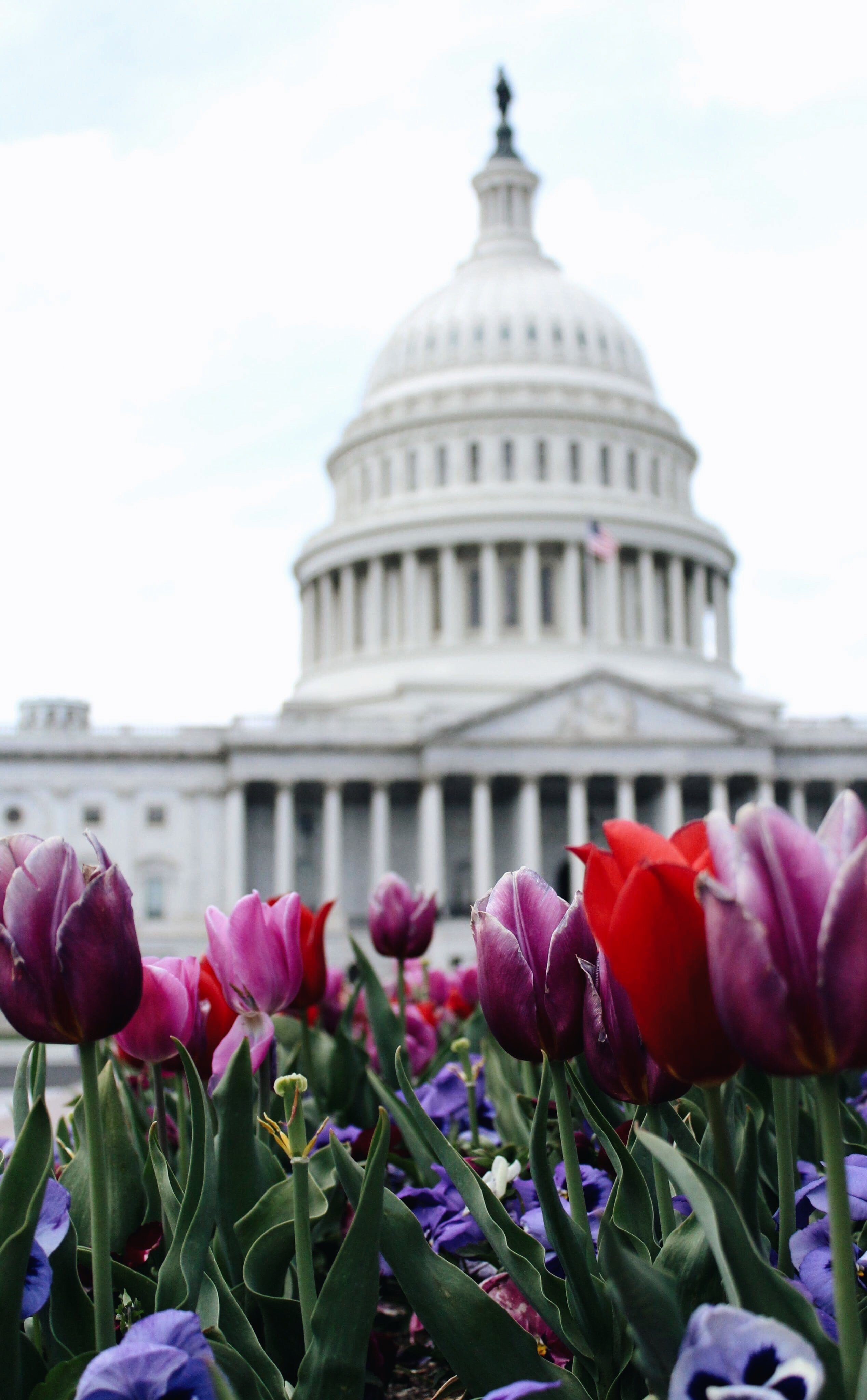 Capitol Building
