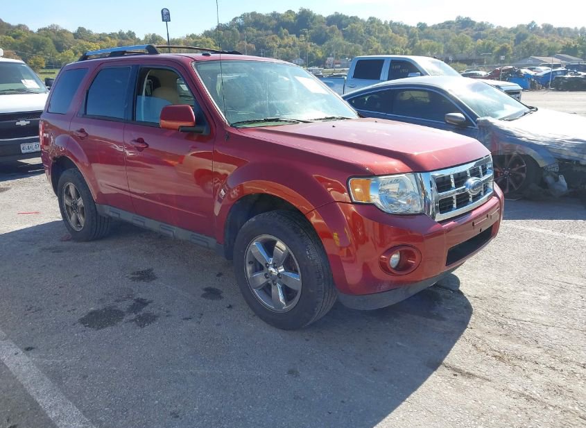 2009 FORD ESCAPE LIMITED photo