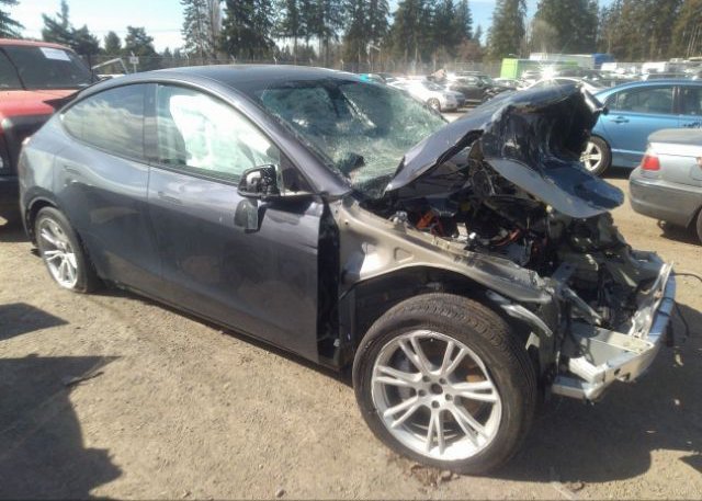 2021 TESLA MODEL Y (VIN: 5YJYGDEE8MF279893)