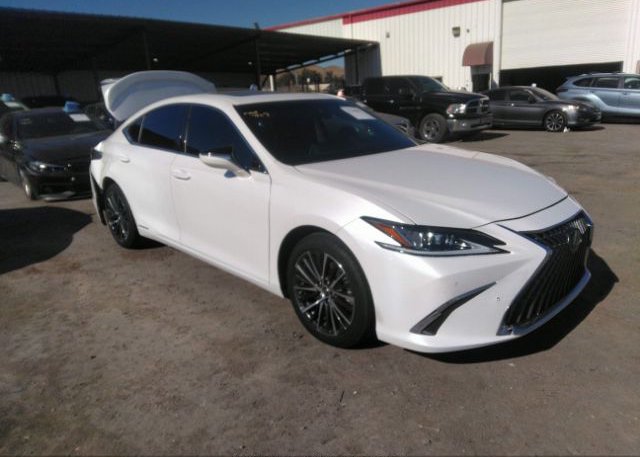 2022 LEXUS ES (VIN: 58ADA1C17NU020842)