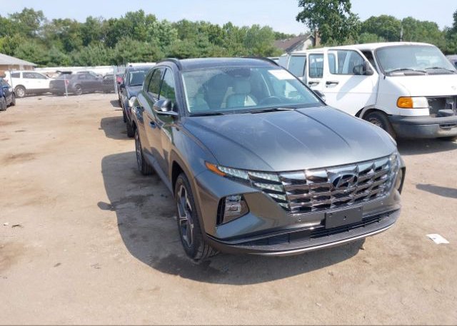 2023 HYUNDAI TUCSON (VIN: 5NMJECAEXPH161404)