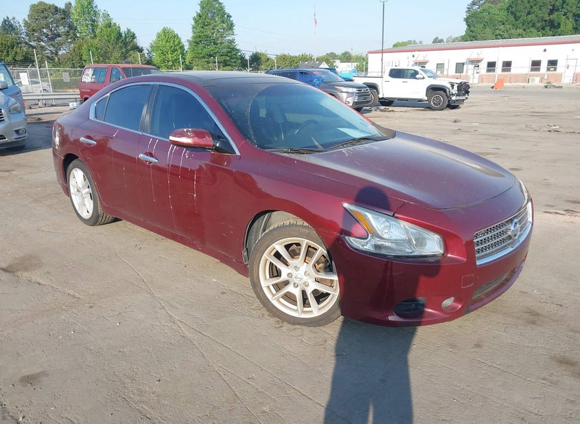 2010 Nissan Maxima 3.5L photo
