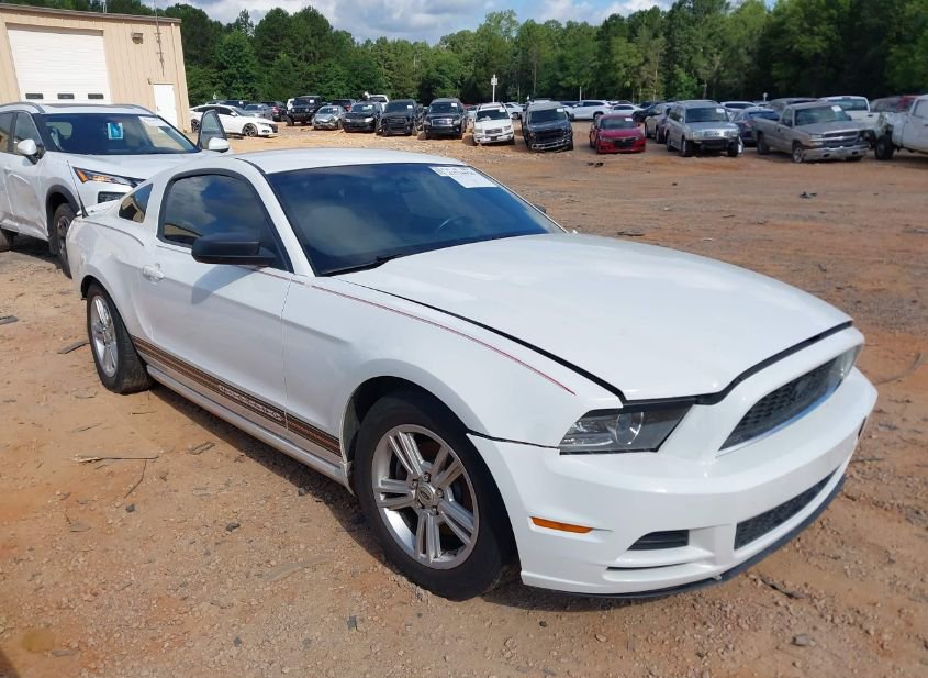 2013 FORD MUSTANG V6 photo