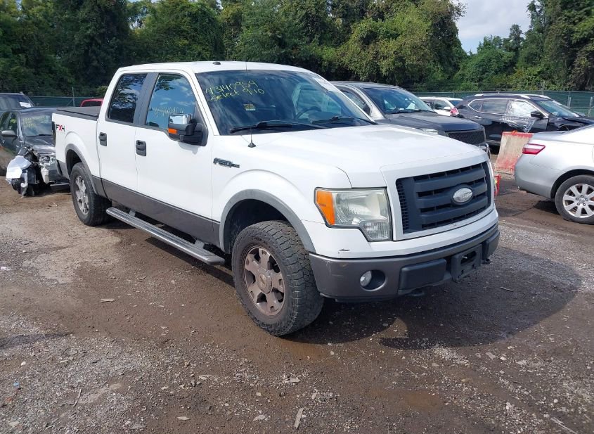 2009 FORD F-150 FX4/KING RANCH/LARIAT/PLATINUM/XL/XLT photo